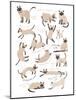 Siamese Cat Print-Hanna Melin-Mounted Giclee Print