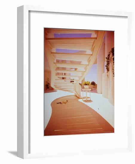 Siamese Cat Resting under Suspended Curved Stairway in Paul Rudolph Designed House-John Dominis-Framed Photographic Print