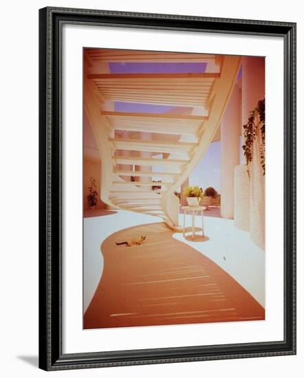 Siamese Cat Resting under Suspended Curved Stairway in Paul Rudolph Designed House-John Dominis-Framed Photographic Print