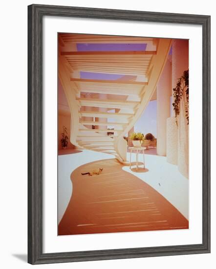 Siamese Cat Resting under Suspended Curved Stairway in Paul Rudolph Designed House-John Dominis-Framed Photographic Print