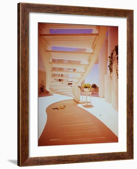 Siamese Cat Resting under Suspended Curved Stairway in Paul Rudolph Designed House-John Dominis-Framed Photographic Print