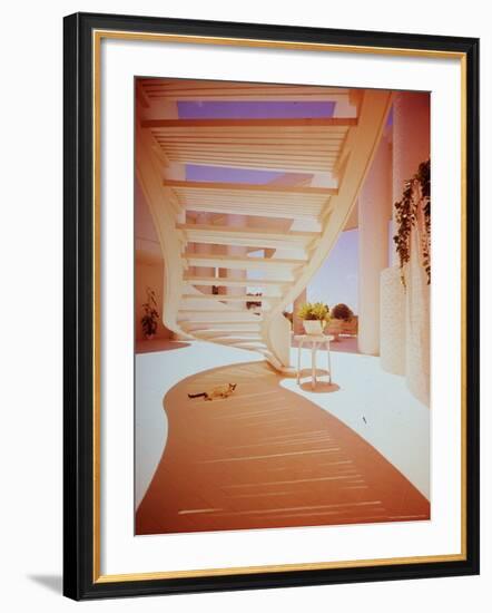 Siamese Cat Resting under Suspended Curved Stairway in Paul Rudolph Designed House-John Dominis-Framed Photographic Print