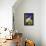 Siamese Cat, Series I-Isy Ochoa-Framed Premier Image Canvas displayed on a wall