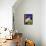 Siamese Cat, Series I-Isy Ochoa-Framed Premier Image Canvas displayed on a wall