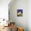 Siamese Cat, Series I-Isy Ochoa-Giclee Print displayed on a wall