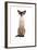 Siamese Cat-Fabio Petroni-Framed Photographic Print