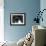 Siamese Cat-null-Framed Photographic Print displayed on a wall