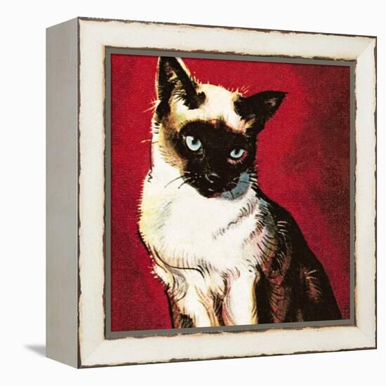 Siamese Cat-McConnell-Framed Premier Image Canvas