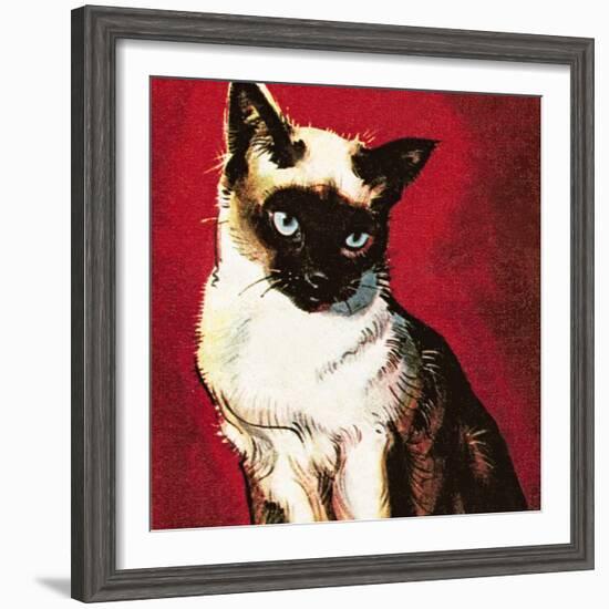 Siamese Cat-McConnell-Framed Giclee Print