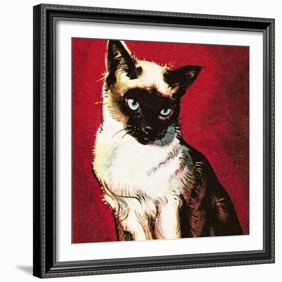 Siamese Cat-McConnell-Framed Giclee Print