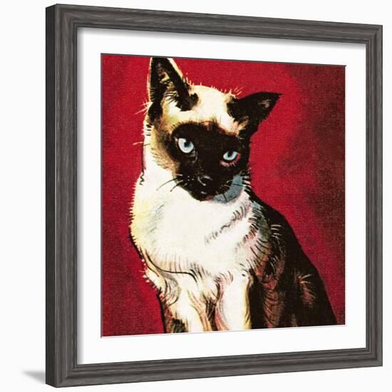 Siamese Cat-McConnell-Framed Giclee Print