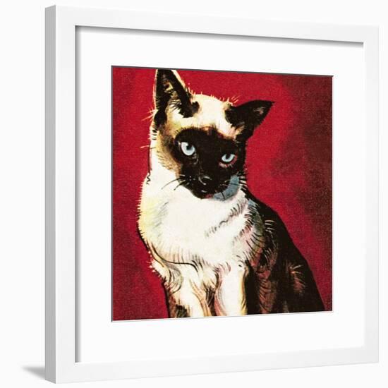 Siamese Cat-McConnell-Framed Giclee Print