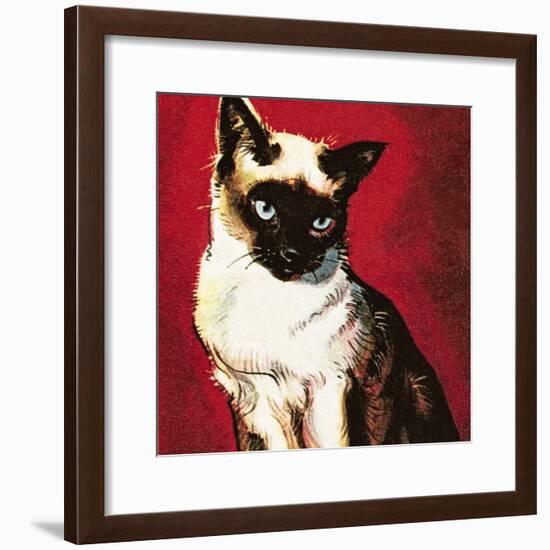 Siamese Cat-McConnell-Framed Giclee Print