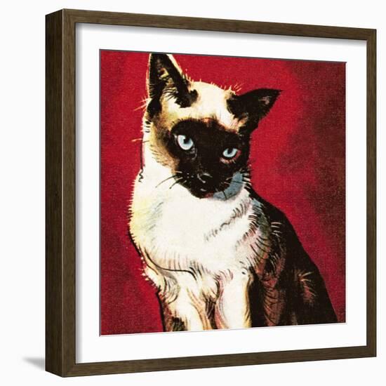 Siamese Cat-McConnell-Framed Giclee Print