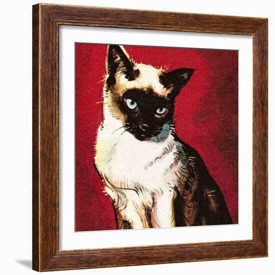 Siamese Cat-McConnell-Framed Giclee Print