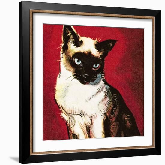 Siamese Cat-McConnell-Framed Giclee Print