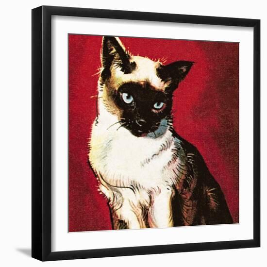 Siamese Cat-McConnell-Framed Giclee Print