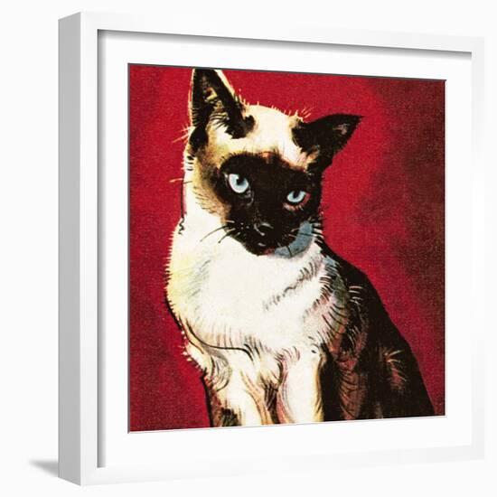 Siamese Cat-McConnell-Framed Giclee Print