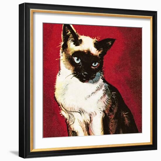 Siamese Cat-McConnell-Framed Giclee Print