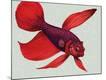 Giclee Print