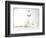 Siamese kitten with jumping goldfish-Steve Lupton-Framed Photographic Print