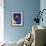 Siamese Seal Point in Studio-null-Framed Photographic Print displayed on a wall