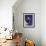 Siamese Seal Point in Studio-null-Framed Photographic Print displayed on a wall