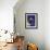 Siamese Seal Point in Studio-null-Framed Photographic Print displayed on a wall