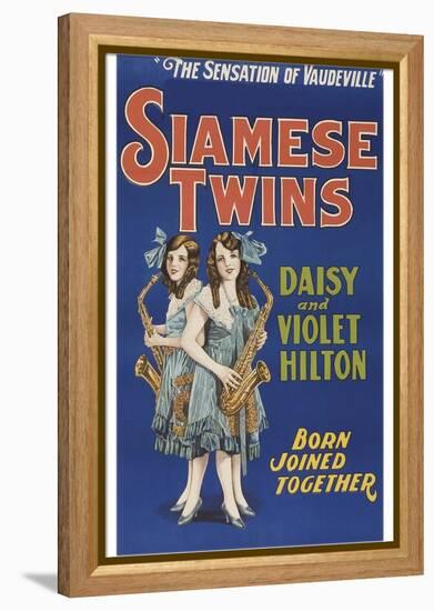 Siamese Twins-null-Framed Stretched Canvas