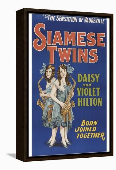 Siamese Twins-null-Framed Stretched Canvas