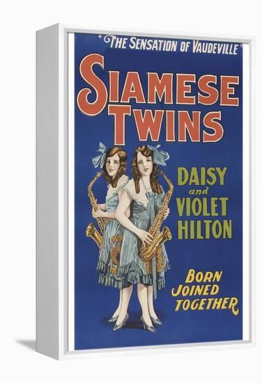 Siamese Twins-null-Framed Stretched Canvas