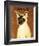 Siamese-John W^ Golden-Framed Art Print