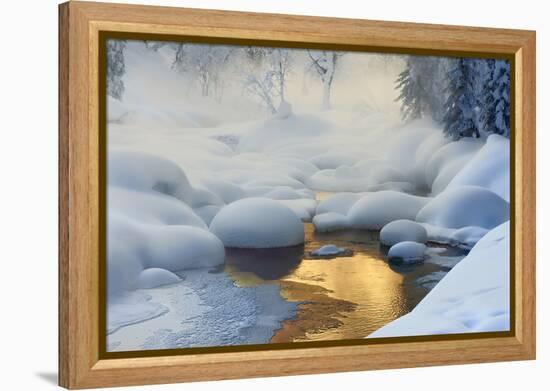 Siberia. -37°C (-35°F)-Dmitry Dubikovskiy-Framed Premier Image Canvas