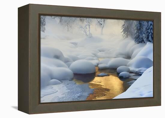 Siberia. -37°C (-35°F)-Dmitry Dubikovskiy-Framed Premier Image Canvas