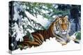 Stretched Canvas Print