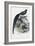 Siberian Finch, 1863-79-Raimundo Petraroja-Framed Giclee Print