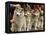 Siberian Huskies Line up During Conformation Judging-null-Framed Premier Image Canvas