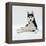 Siberian Husky Dog, Lying Down-Jane Burton-Framed Premier Image Canvas