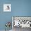 Siberian Husky Dog, Lying Down-Jane Burton-Framed Premier Image Canvas displayed on a wall