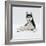 Siberian Husky Dog, Lying Down-Jane Burton-Framed Photographic Print