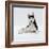 Siberian Husky Dog, Lying Down-Jane Burton-Framed Photographic Print