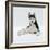 Siberian Husky Dog, Lying Down-Jane Burton-Framed Photographic Print