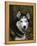 Siberian Husky Dog, USA-Lynn M. Stone-Framed Premier Image Canvas