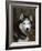 Siberian Husky Dog, USA-Lynn M. Stone-Framed Photographic Print