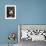 Siberian Husky Dog, USA-Lynn M. Stone-Framed Photographic Print displayed on a wall