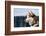 Siberian Husky in the Snow-vent du sud-Framed Photographic Print