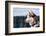 Siberian Husky in the Snow-vent du sud-Framed Photographic Print