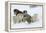 Siberian Husky Litter of Four Puppies in Snow-null-Framed Premier Image Canvas