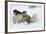 Siberian Husky Litter of Four Puppies in Snow-null-Framed Photographic Print