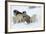 Siberian Husky Litter of Four Puppies in Snow-null-Framed Photographic Print